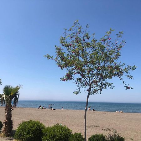 Hotel Mario, Shëngjin Εξωτερικό φωτογραφία