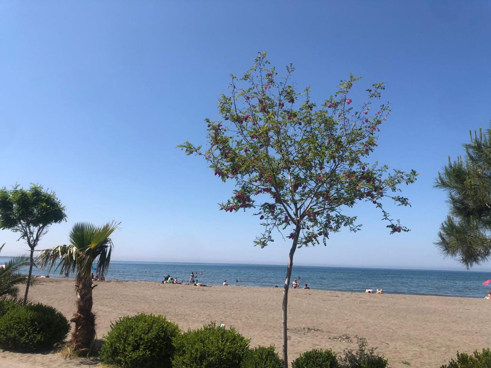 Hotel Mario, Shëngjin Εξωτερικό φωτογραφία
